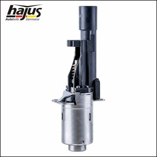 Stellelement, Exzenterwelle(variabler Ventilhub)